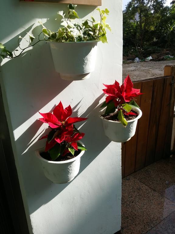 Flower B&B Kota Hualien Bagian luar foto